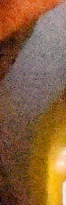 D4S High ISO Noise Reduction image 112