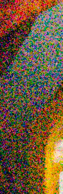 D4S High ISO Noise Reduction image 114