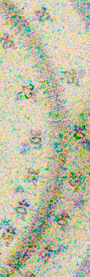 D4S High ISO Noise Reduction image 117