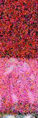 D4S High ISO Noise Reduction image 119