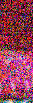 D4S High ISO Noise Reduction image 120