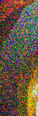 D4S High ISO Noise Reduction image 123