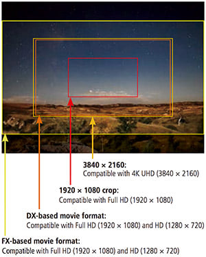 Nikon D5 Review