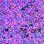 D5 Exposure image 38
