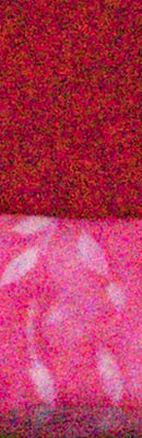 D5 High ISO Noise Reduction image 93