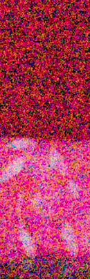 D5 High ISO Noise Reduction image 111