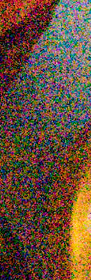 D5 High ISO Noise Reduction image 114