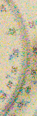 D5 High ISO Noise Reduction image 117