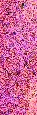 D5 High ISO Noise Reduction image 148