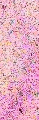 D5 High ISO Noise Reduction image 151