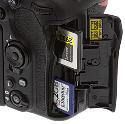 D500 Overview image 7