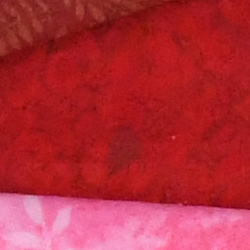 100% crop from Nikon D500 test image taken at ISO 3200