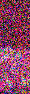 D500 High ISO Noise Reduction image 120