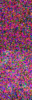D500 High ISO Noise Reduction image 129