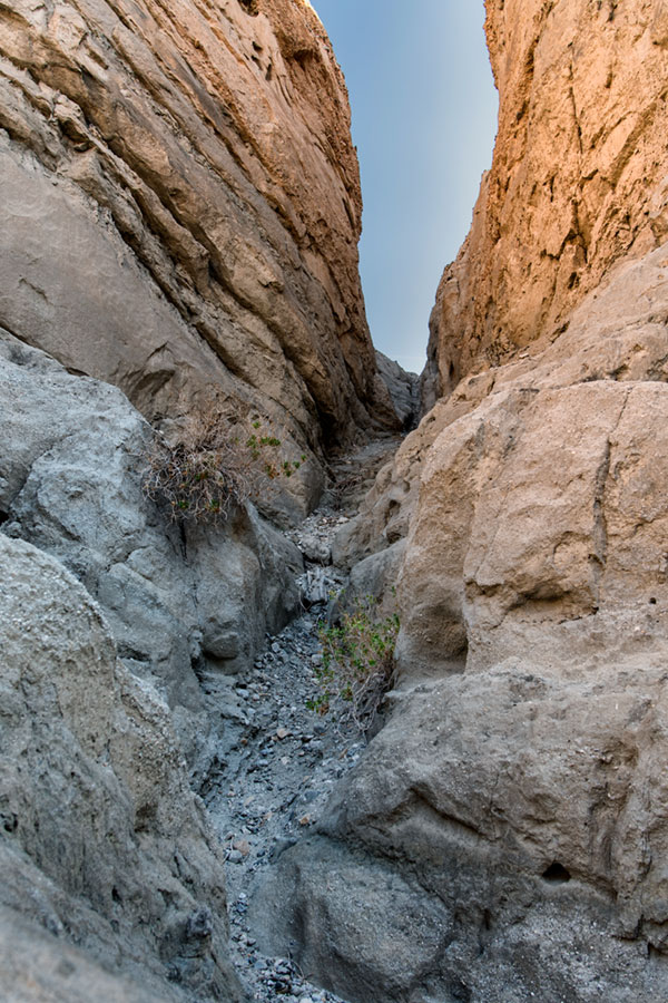 Nikon D500 Review: First Impressions -- Gallery Image