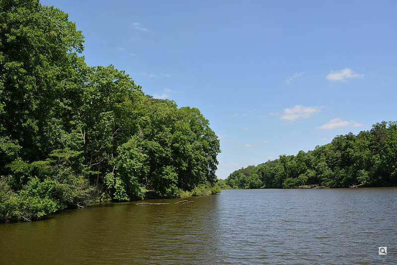 D5200 Overview image 31