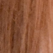 D5300 Exposure image 33
