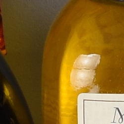 100% crop from Nikon D5500 test image taken at ISO 100