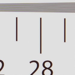 Strong detail to ~2,900 lines vertical ACR processed RAW