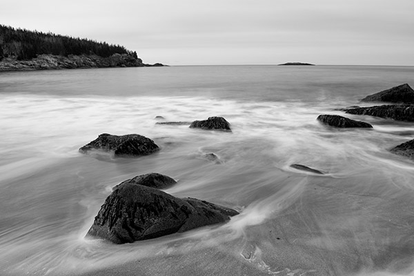 Nikon D5600 Review: Field Test -- Gallery Image