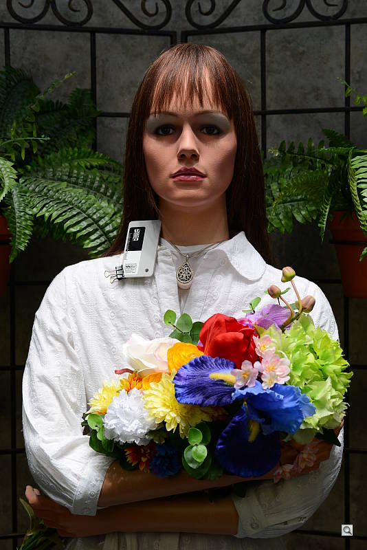 Click to see D600OUTBSAT5.JPG
