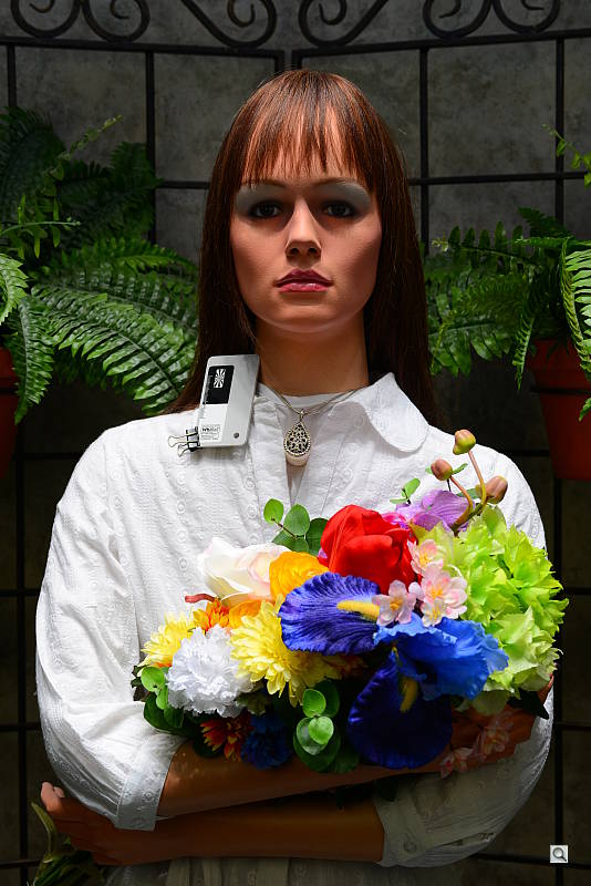 Click to see D600OUTBSAT7.JPG