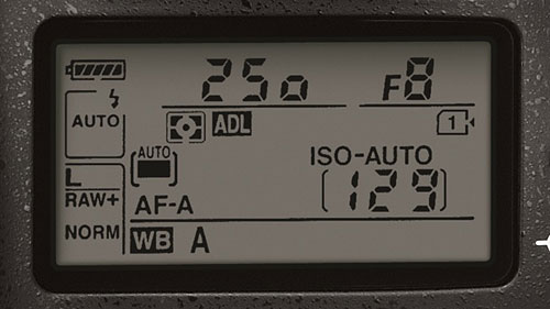 D600 Overview image 48