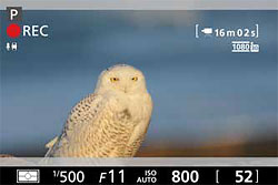 D600 Overview image 55