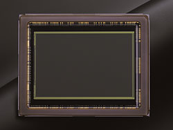 D600 Overview image 42