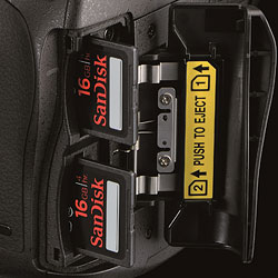 D600 Overview image 58