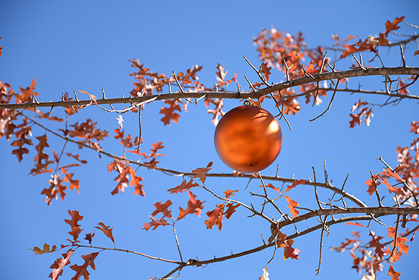 Nikon D610 Review -- Sample image