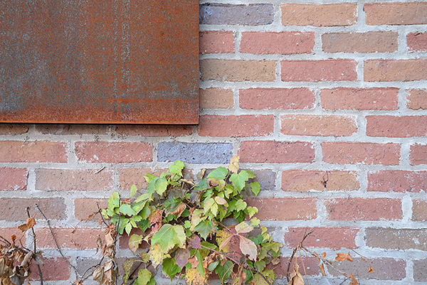 Nikon D610 Review -- Sample image