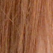 D7100 Exposure image 27