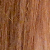 D7100 Exposure image 28