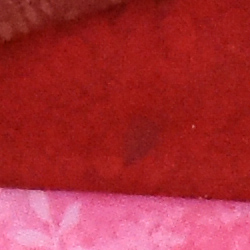 100% crop from Nikon D7200 test image taken at ISO 3200