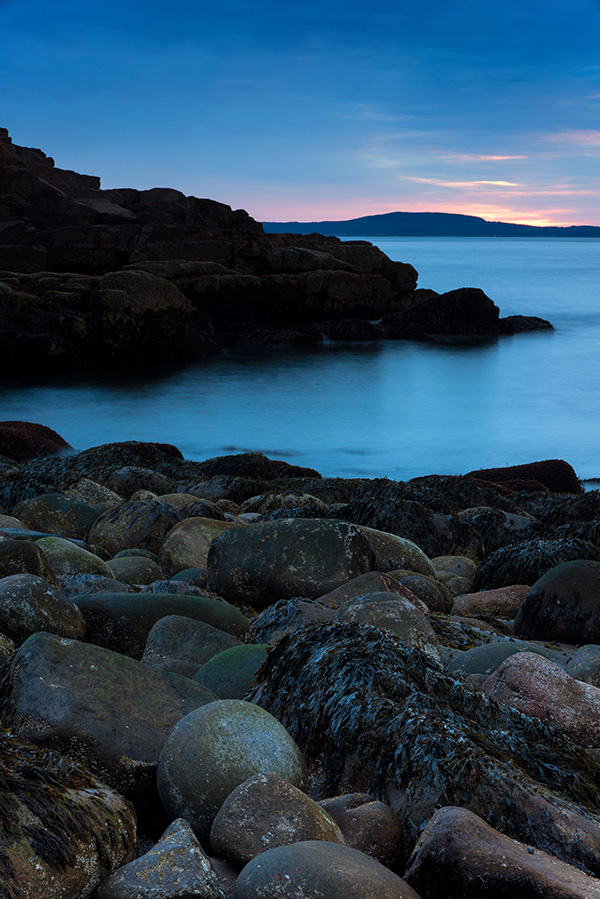 Nikon D750 Review - Field Test Part I