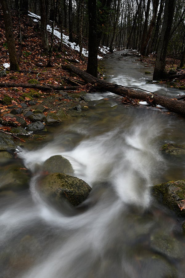 Nikon D750 Review
