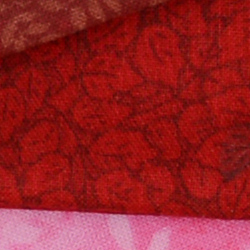6D Image Quality image 24