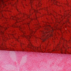 100% crop from Nikon D800 test image taken at ISO 100
