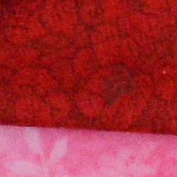 100% crop from Nikon D800 test image taken at ISO 3200