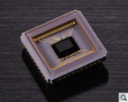 Nikon D800 metering sensor