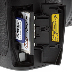 Where the D4 adopted the brand-new XQD card format, the D800 treads a more conservative path,