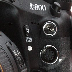 Adjacent to the flash sync and 10-pin remote control terminal is a new three-hole microphone port.