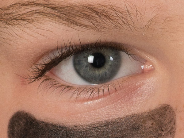 D800 Overview image 13