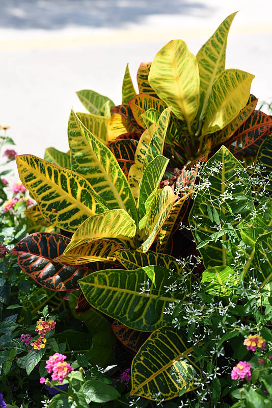 Nikon D810 review -- Sample photo