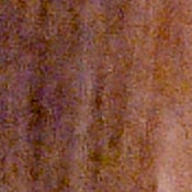 D810 Exposure image 34