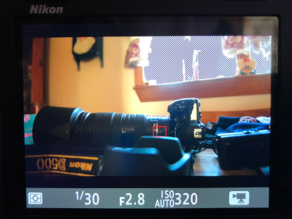 Zebra warnings are useful and you can choose from a couple different patterns on the D850