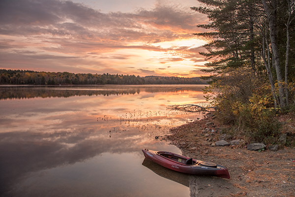 Nikon D850 Review: Field Test -- Gallery Image