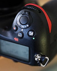 D850 Field Test Part II image 5
