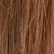 D850 Exposure image 29